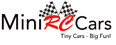 Mini RC Cars & Toys